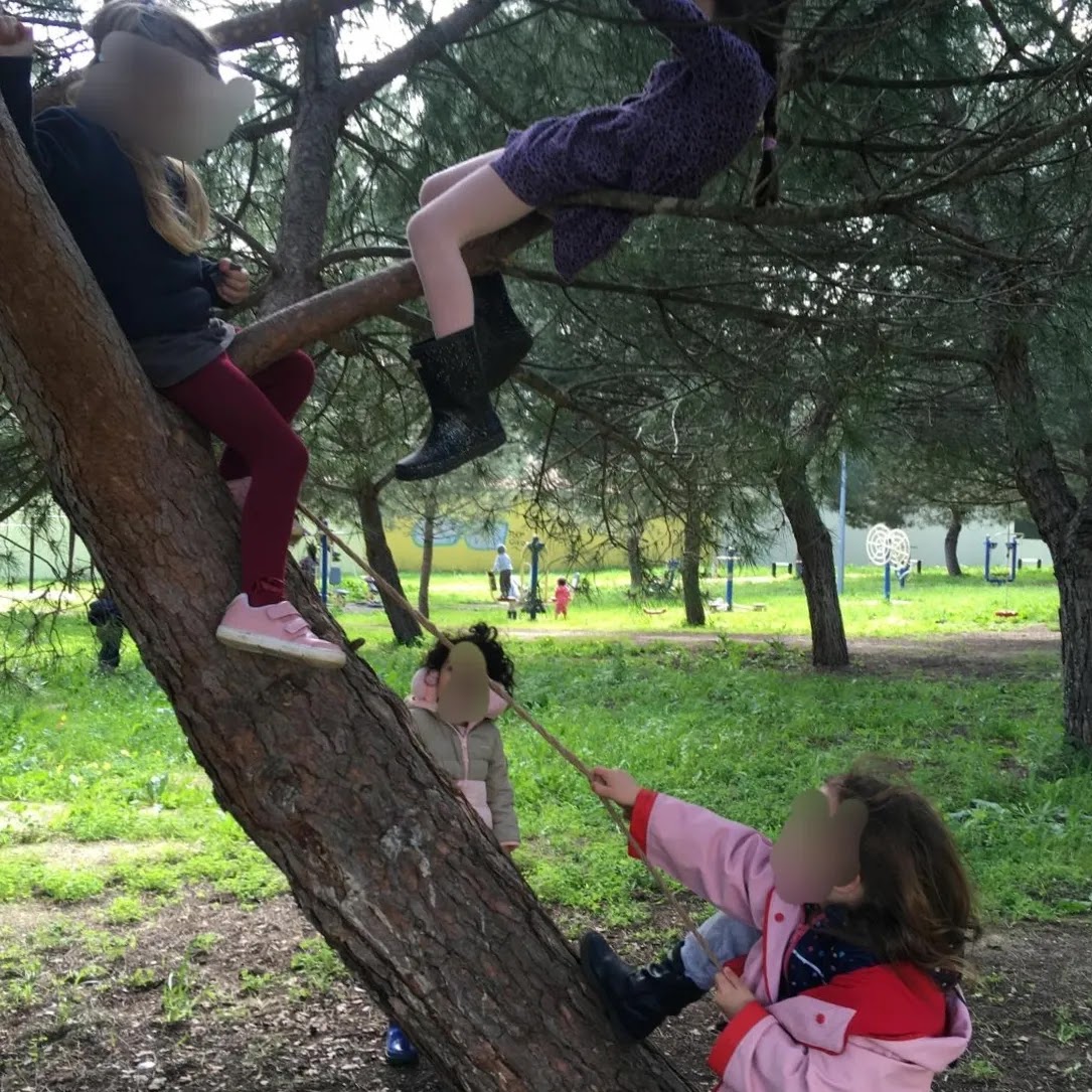 Crescer Montessori - Centro de Aprendizagem de Metodologia Montessori, Unip. Lda.