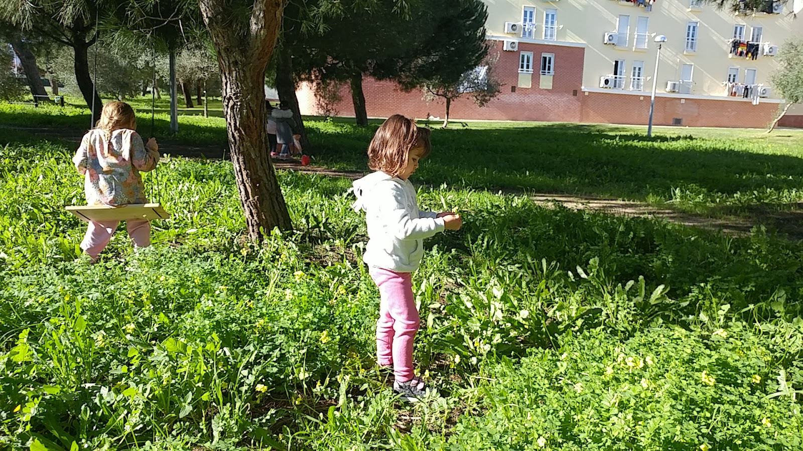 Photo 6