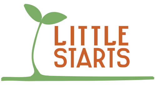 Little Starts Preschool