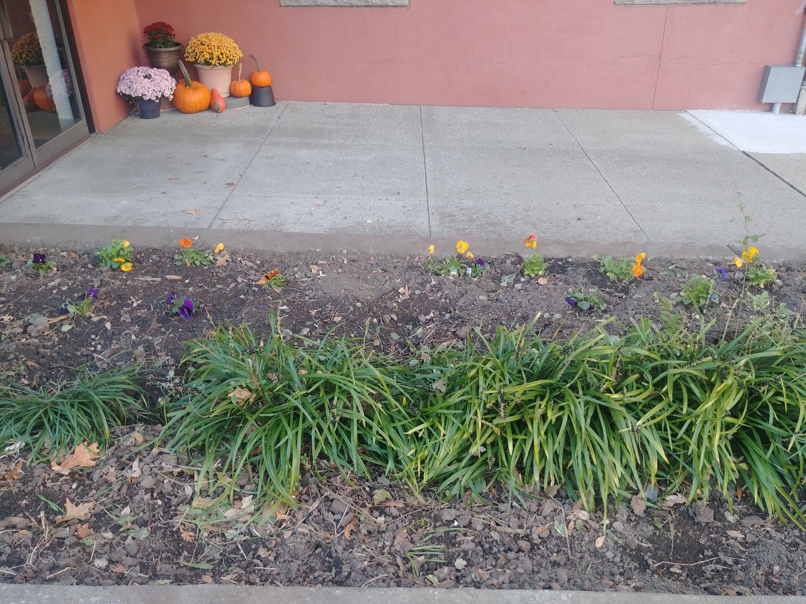Photo 6
