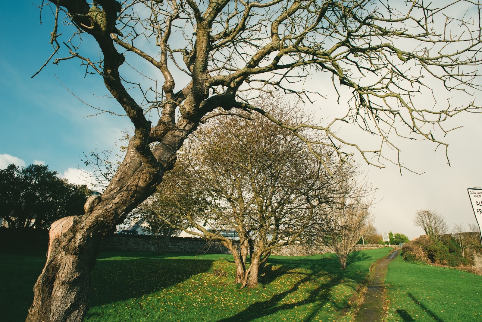 Little Stars (Moville)