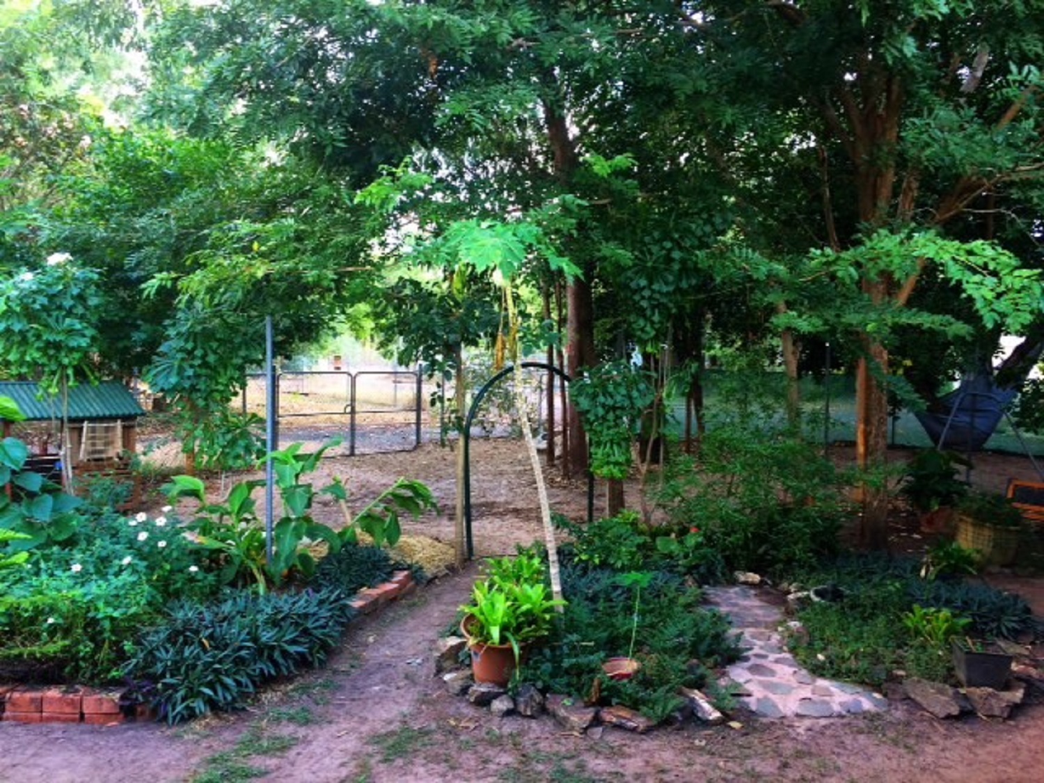Photo 5