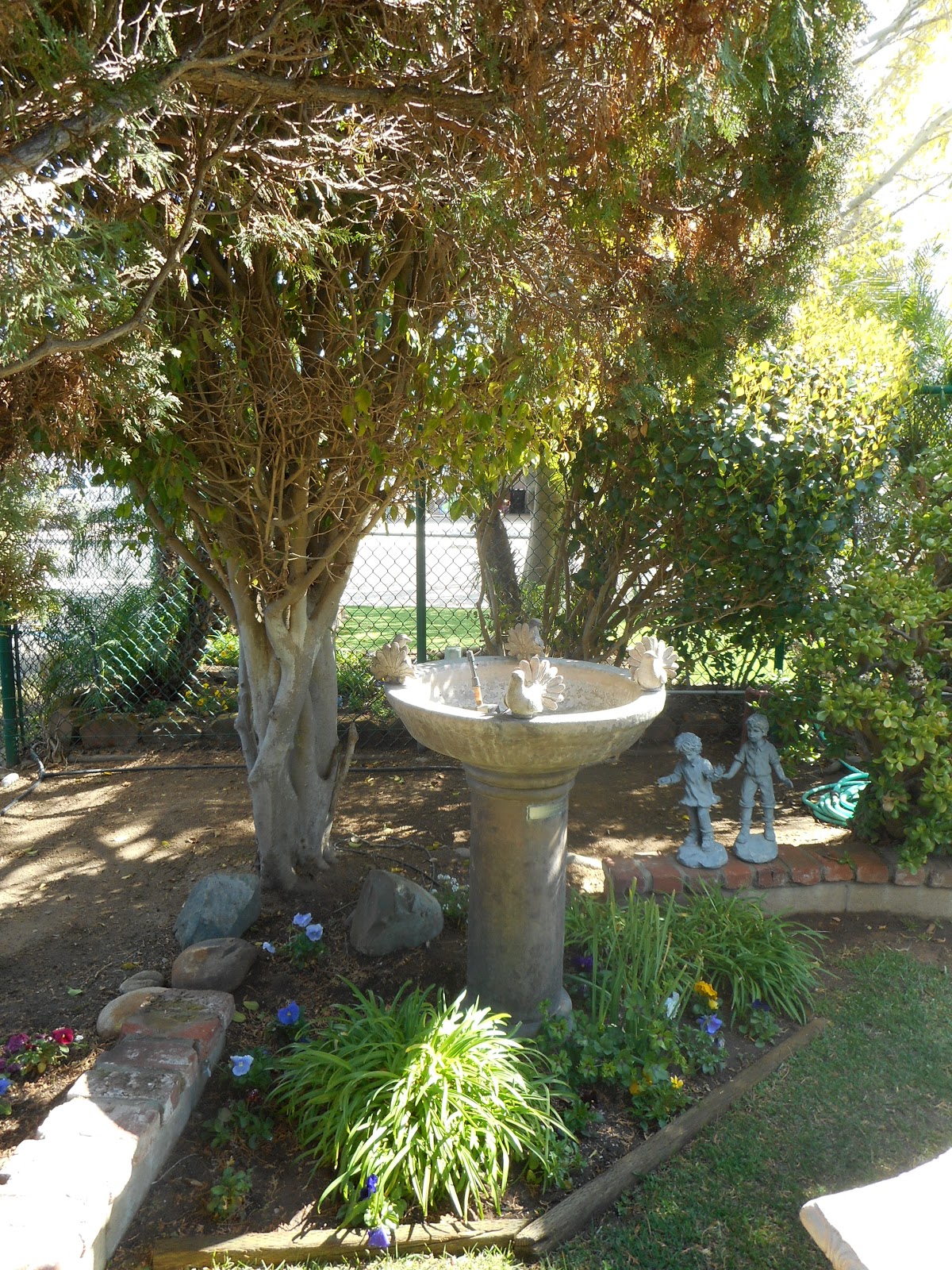 Photo 10