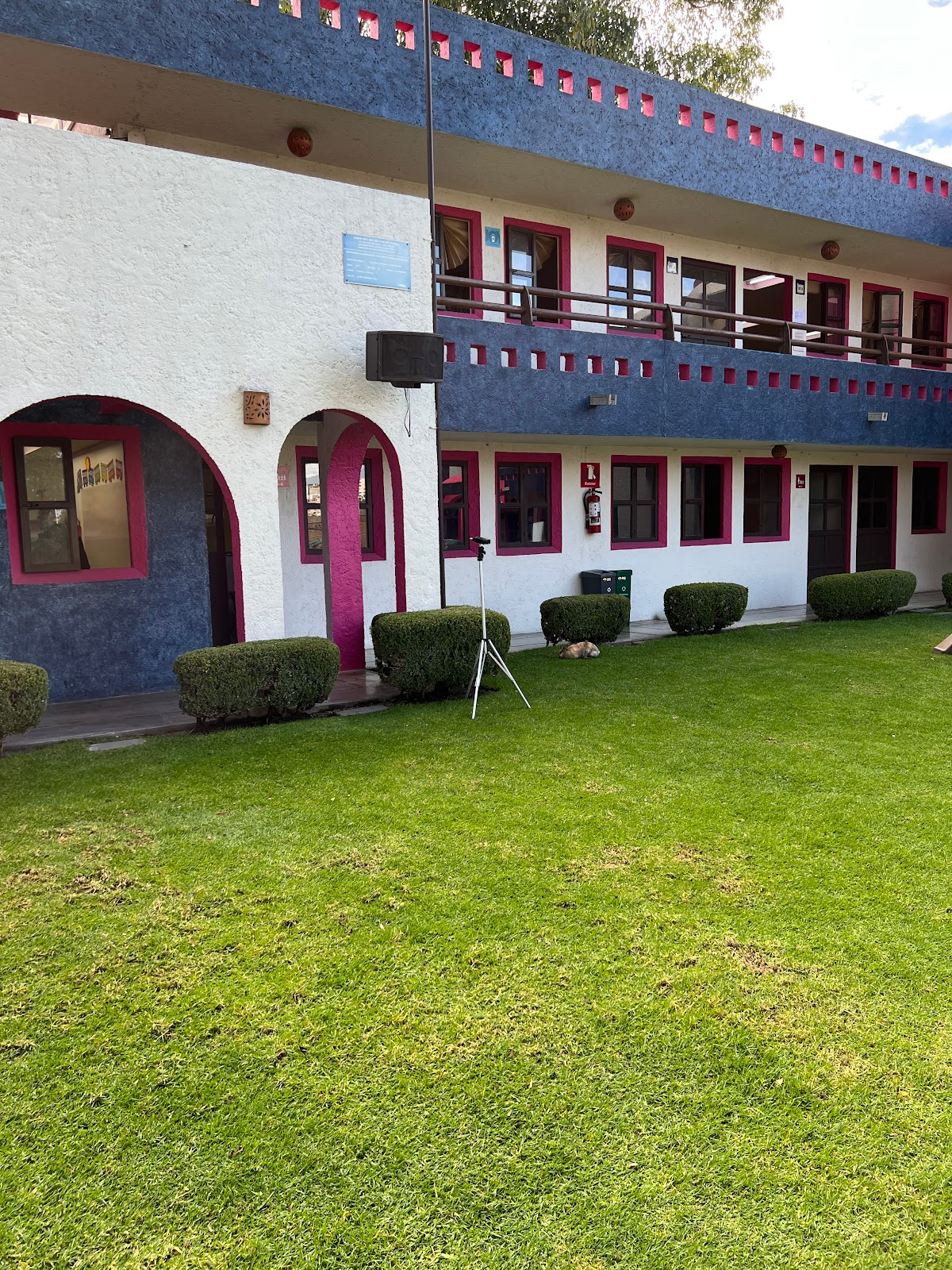 JOY Kindergarten
