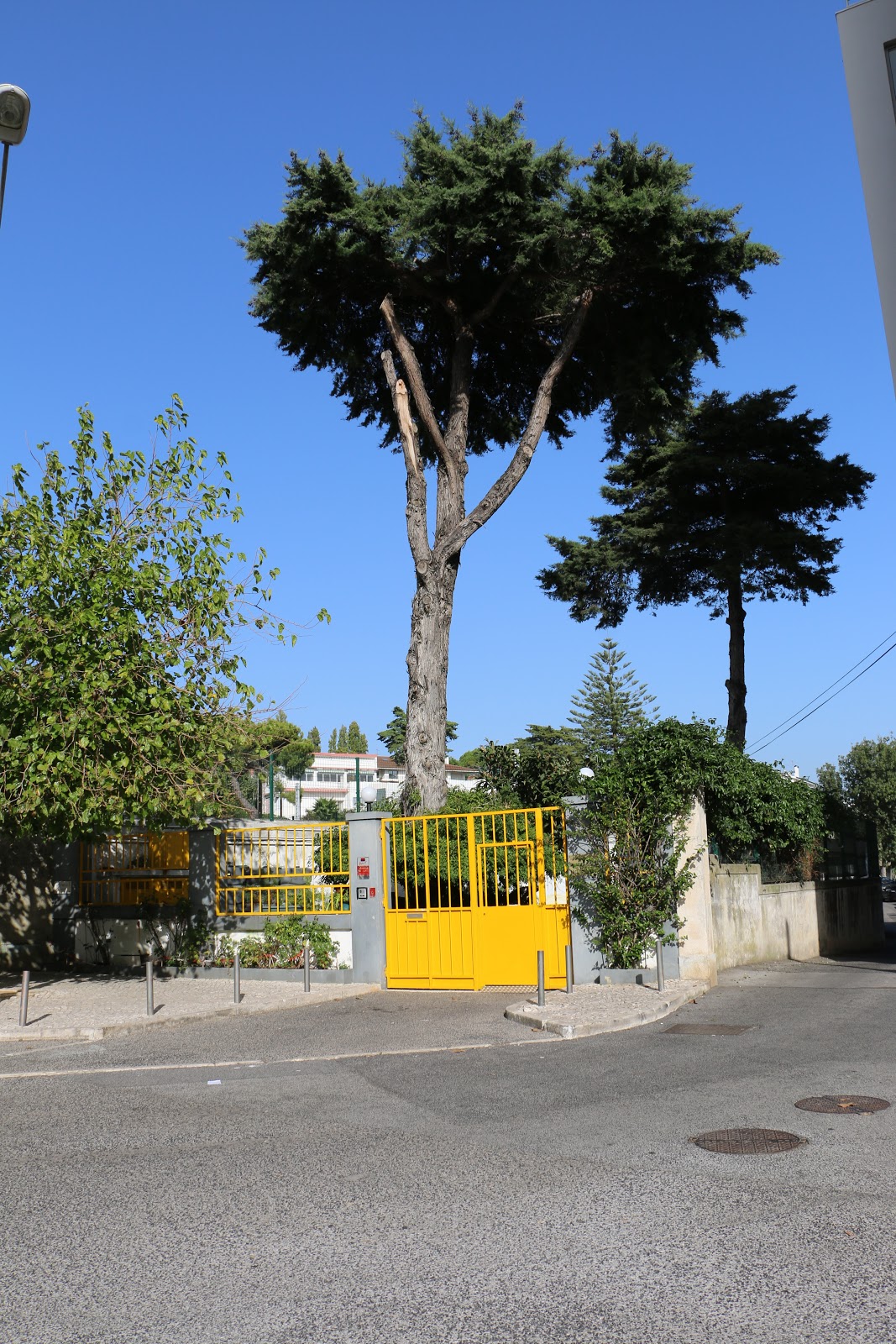 Infantário - Associação Popular de Paço de Arcos
