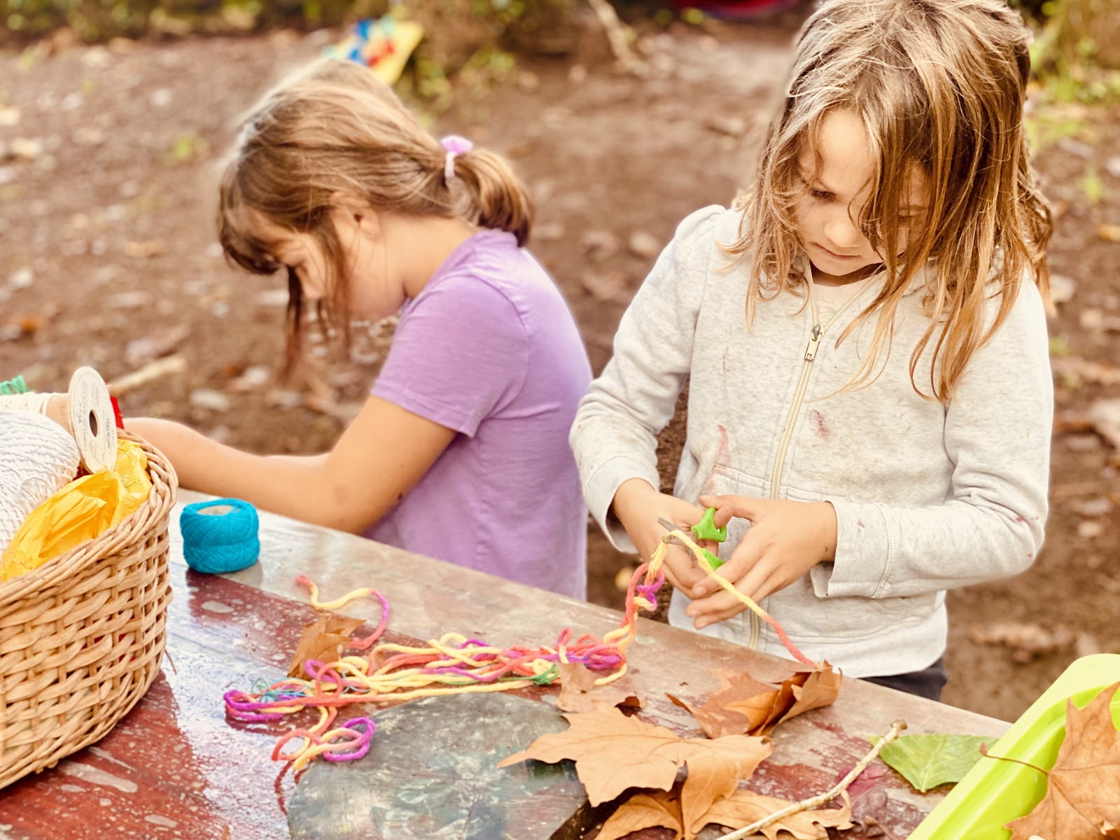 Ser na Floresta - Forest School