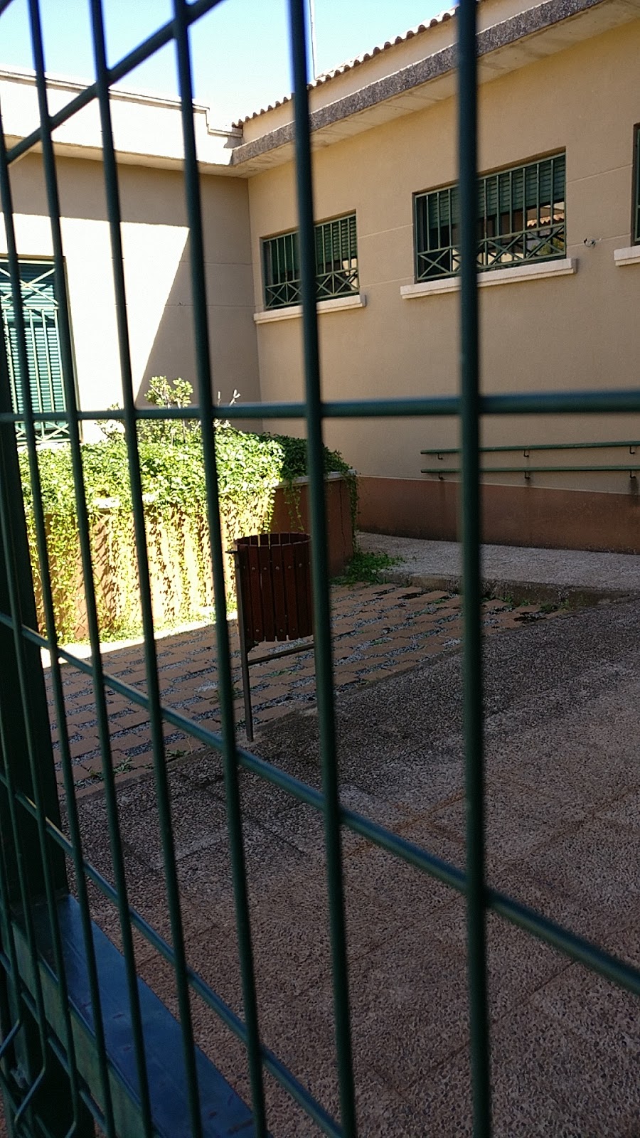 Photo 4