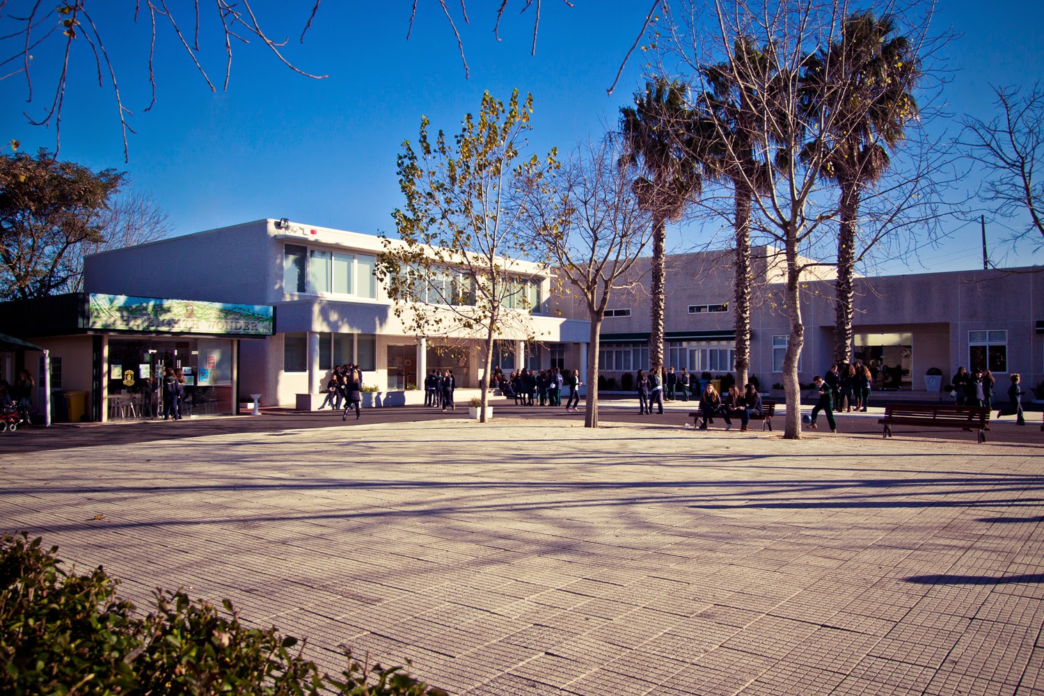 Photo 3