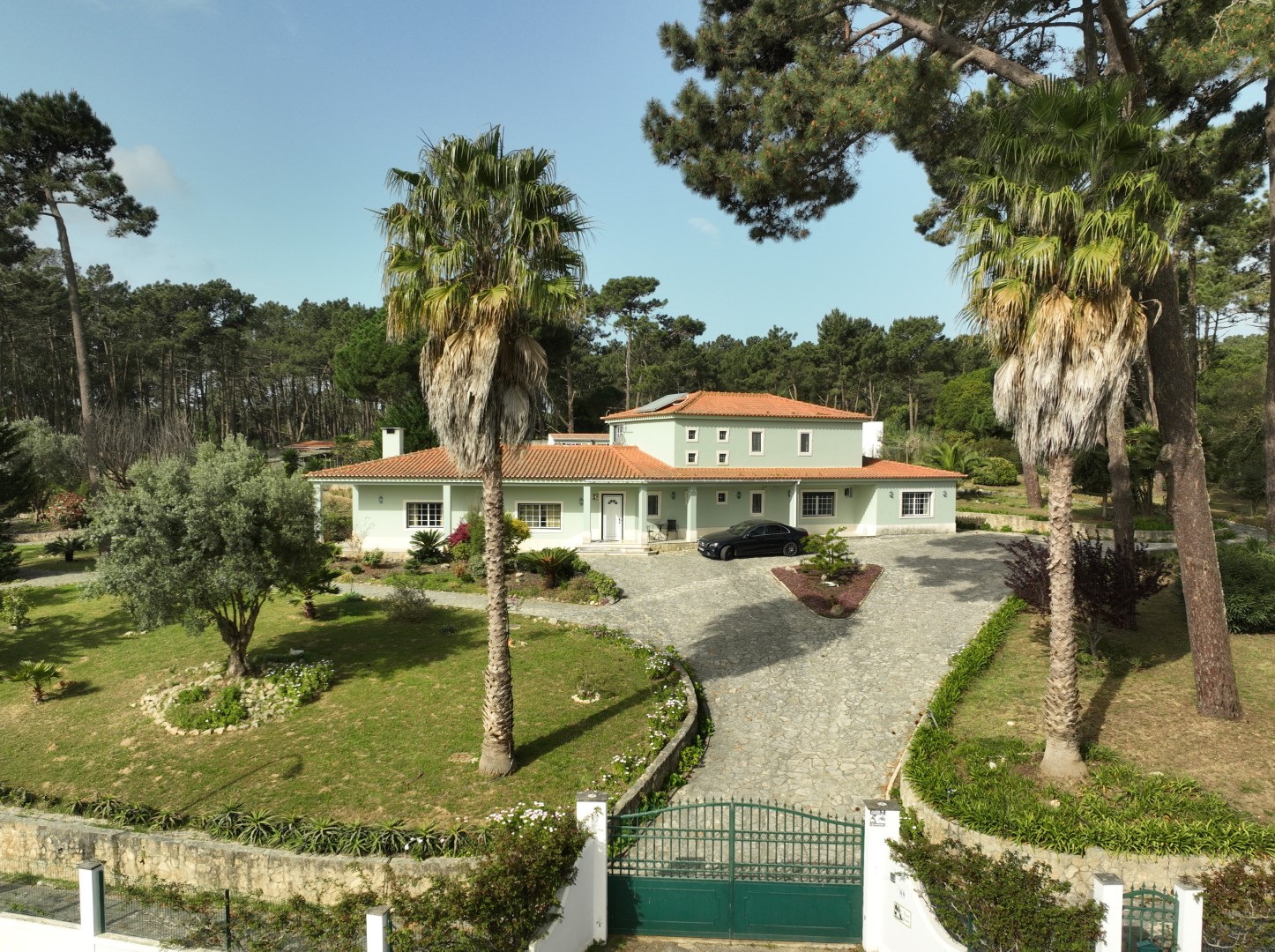 HYPHA International School