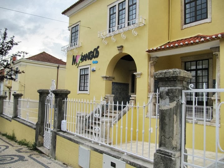 Photo 7