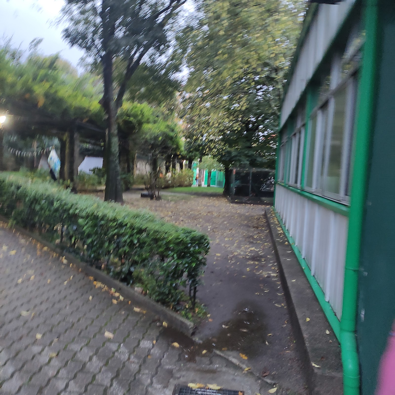Photo 5