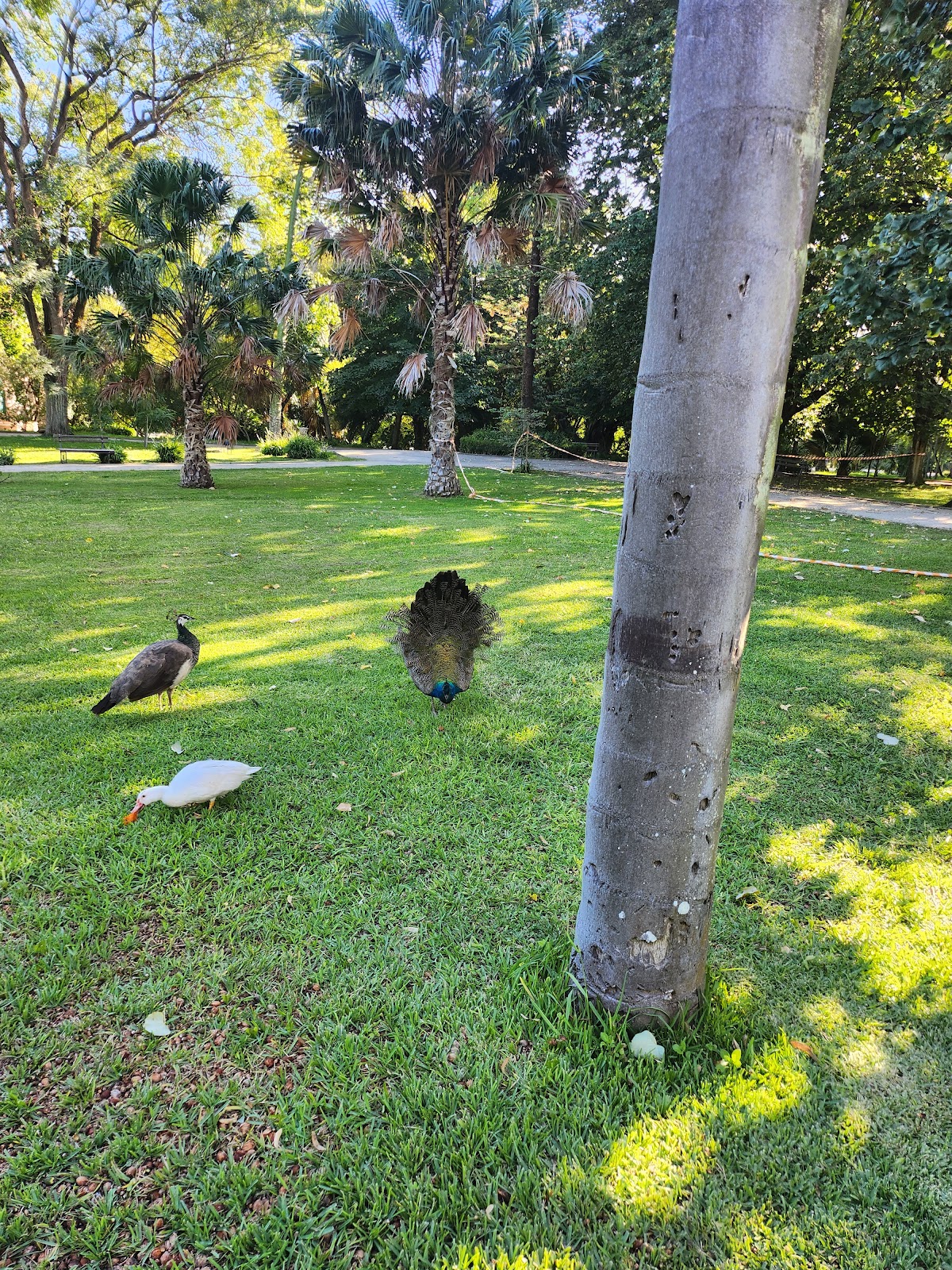 Jardim de Infância de Belém