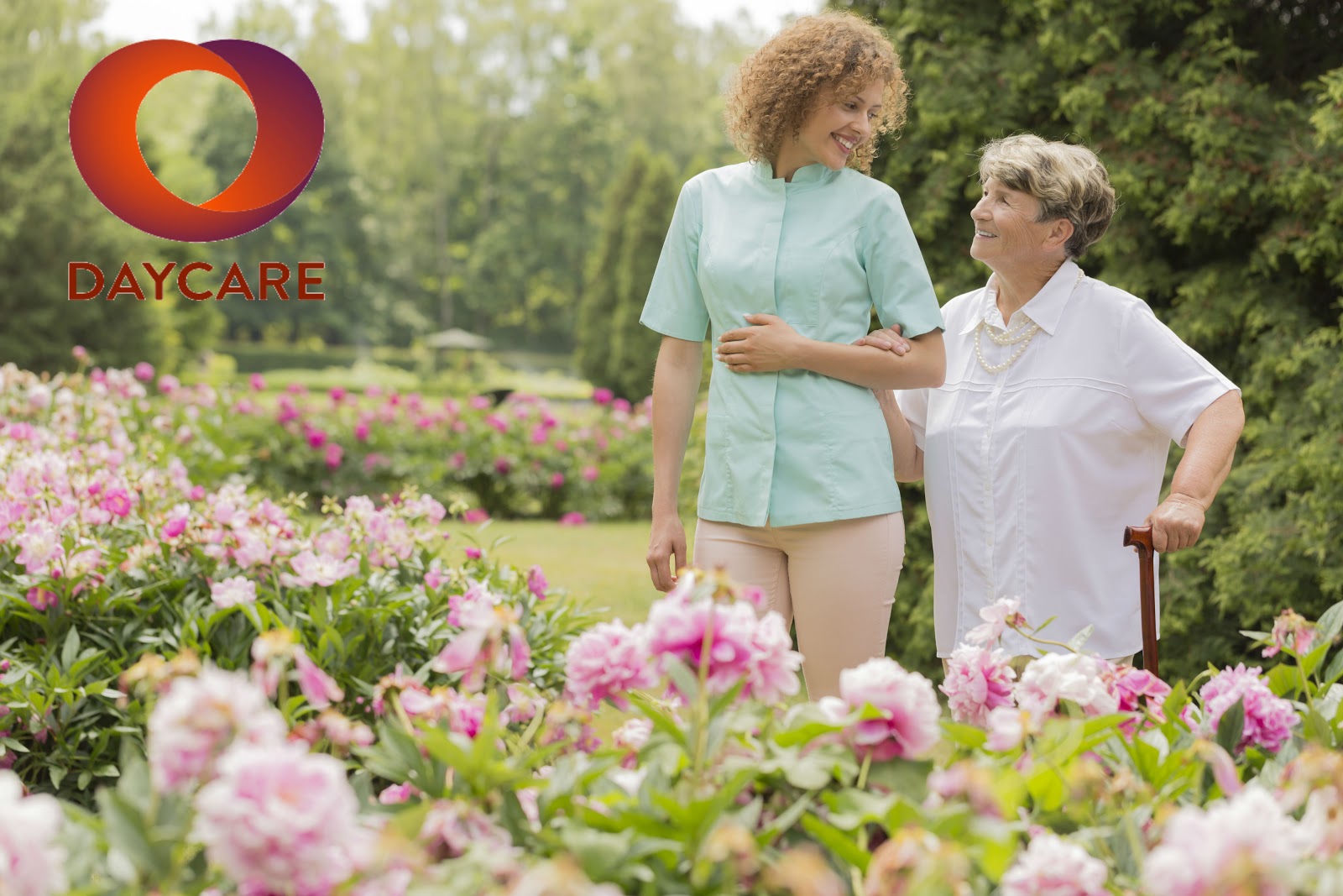 Daycare, Serviço Apoio Domiciliário