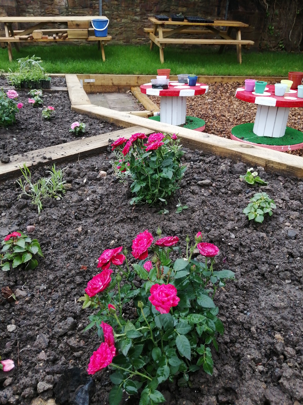 Photo 6