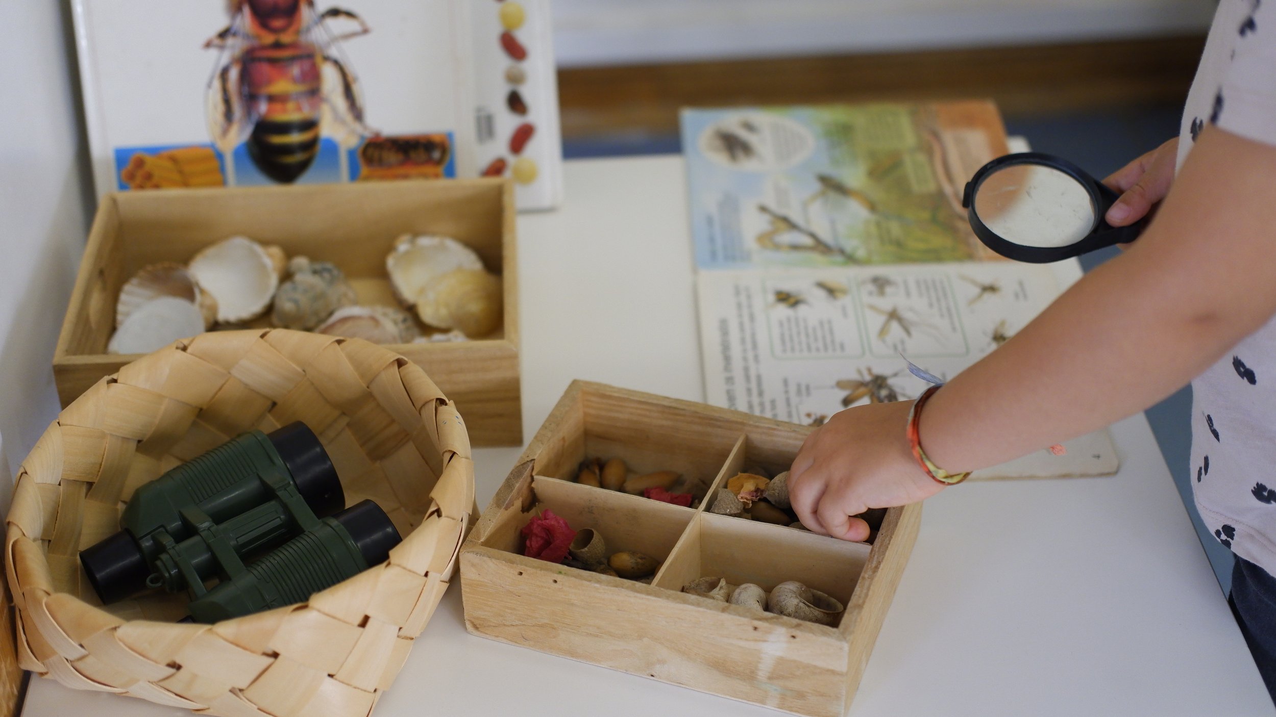 Preschool child exploring nature with magnifying glass and collection box