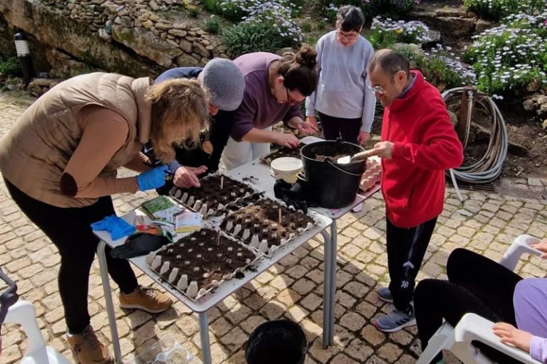 Preschool children and teachers planting seeds in egg cartons outdoors