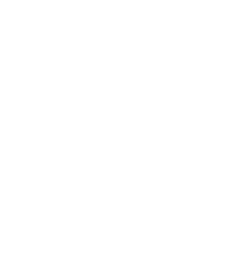 Colégio Nossa Senhora de Lourdes logo