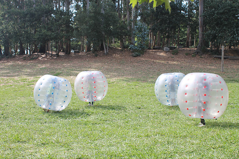 Preschool children playing in inflatable bubble balls outdoors