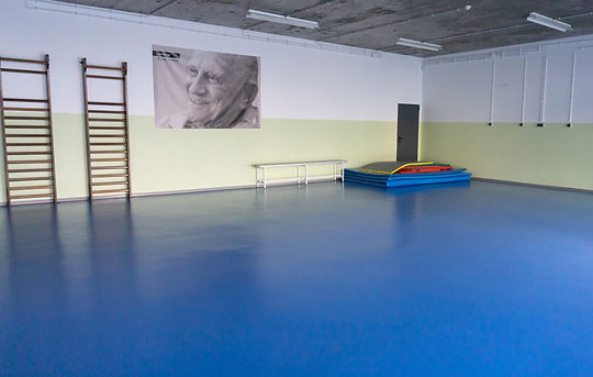 Preschool gymnasium with climbing ladders and mats
