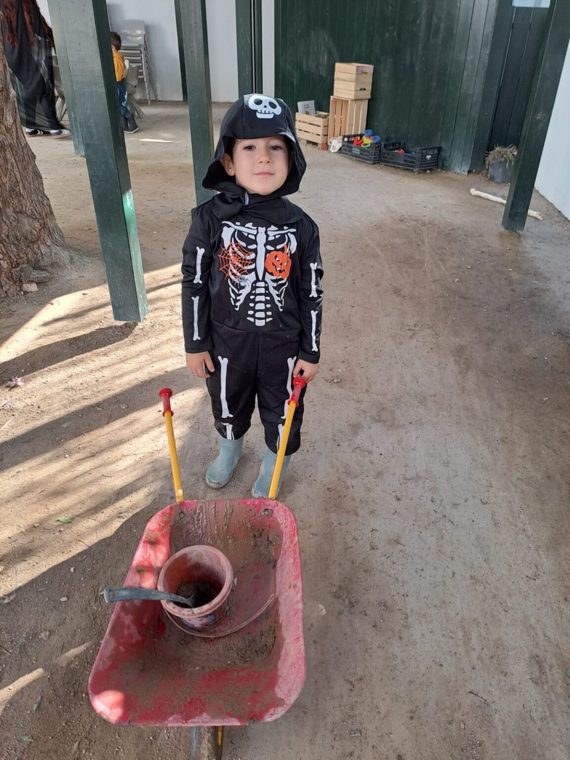 Preschool child in skeleton costume playing with wheelbarrow