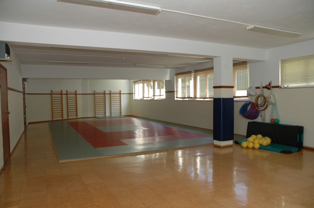 Preschool gymnasium with mats, climbing ladders, and play equipment