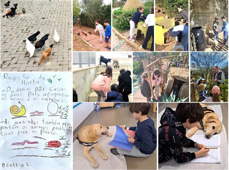 Preschool children interacting with animals and plants in a school garden.