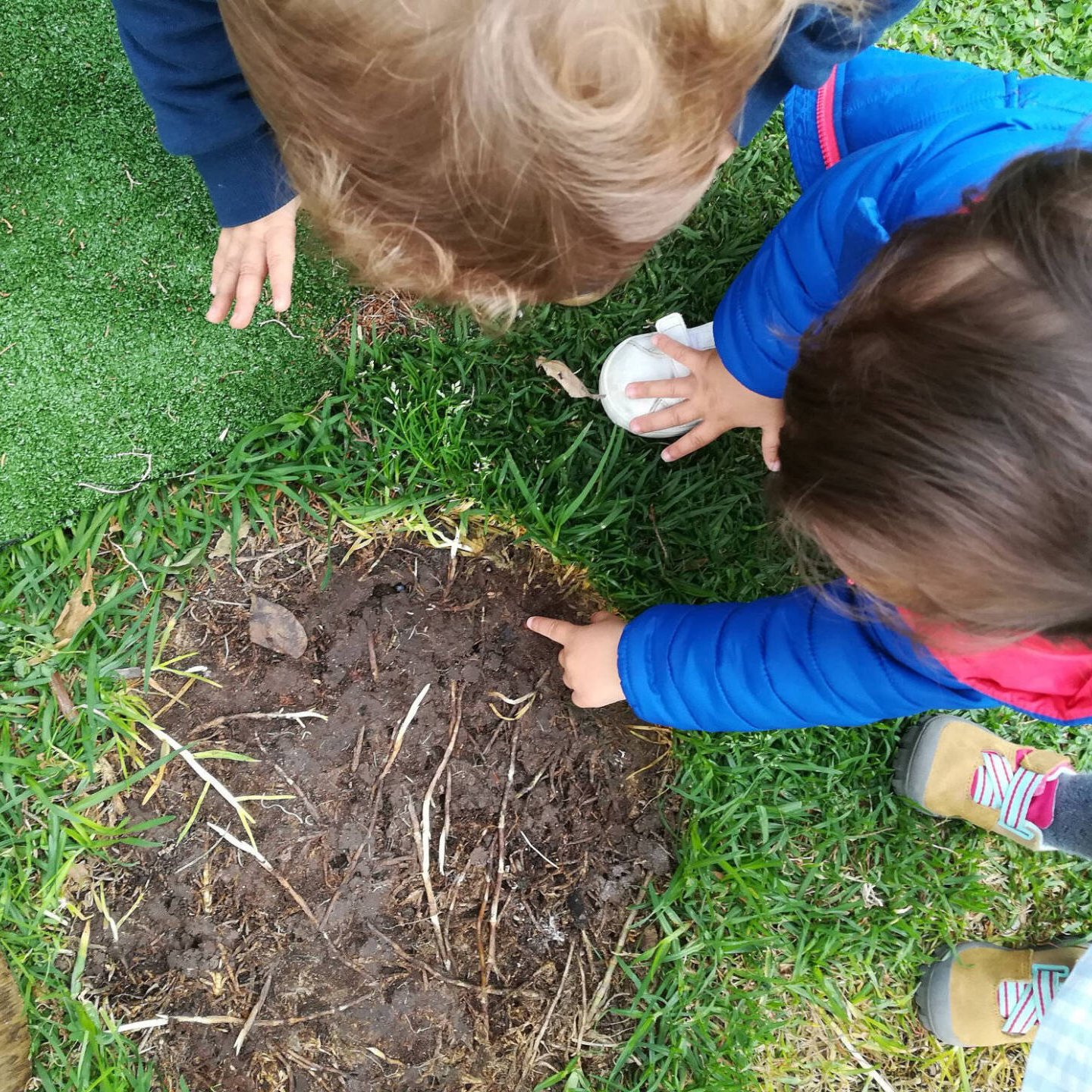 Preschool children exploring nature, examining the ground
