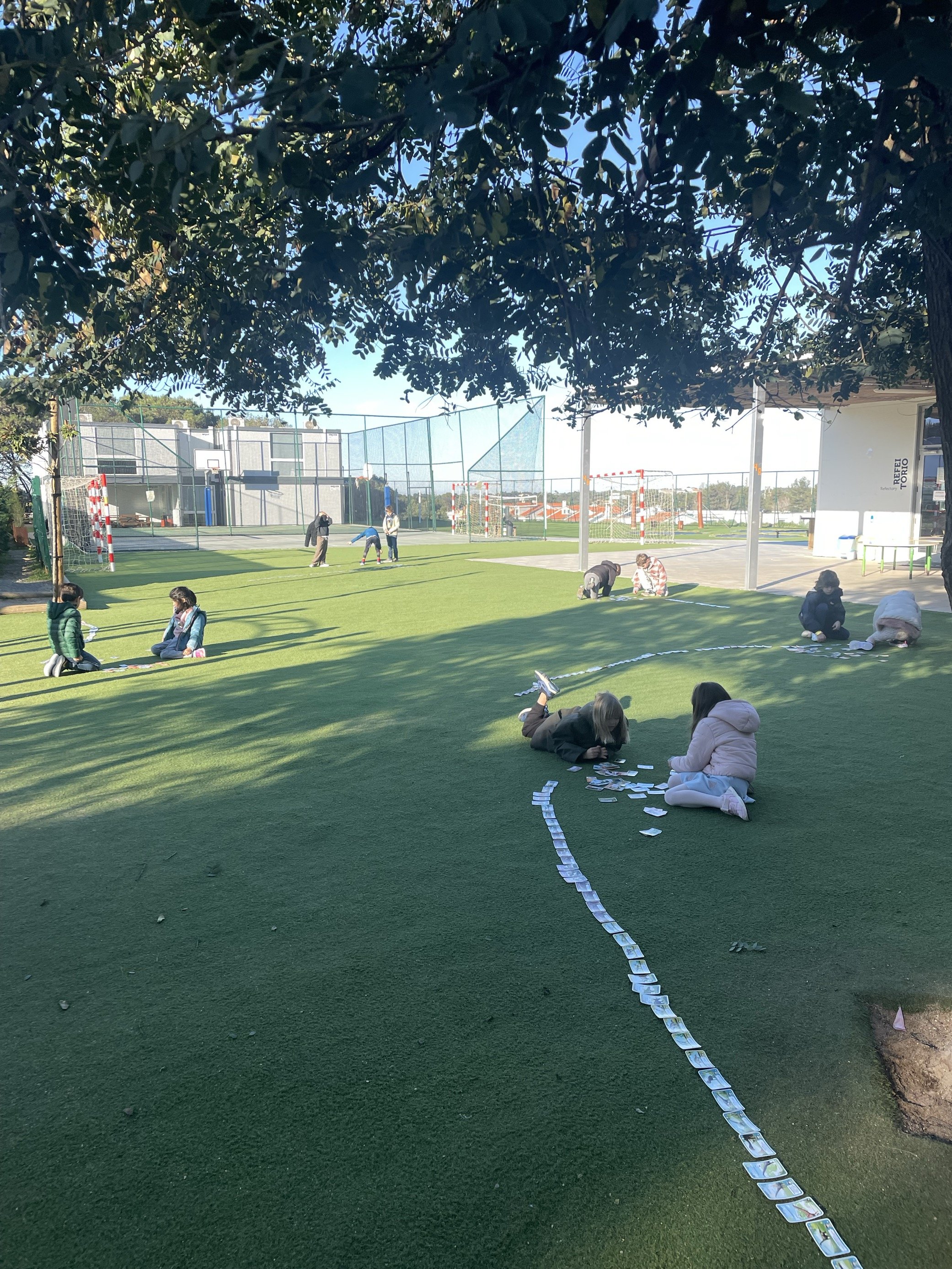 Preschool children engaged in an outdoor learning activity, spreading out cards on the grass.