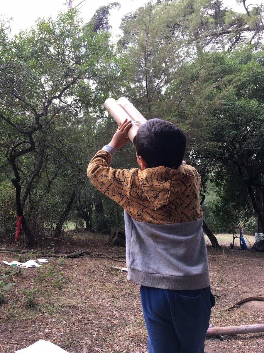 Preschool child using cardboard binoculars for nature exploration