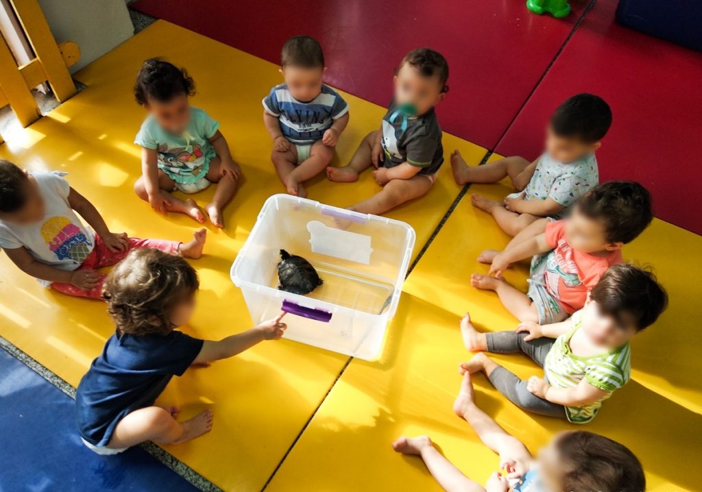 Preschool children gathered around a turtle in a clear plastic container