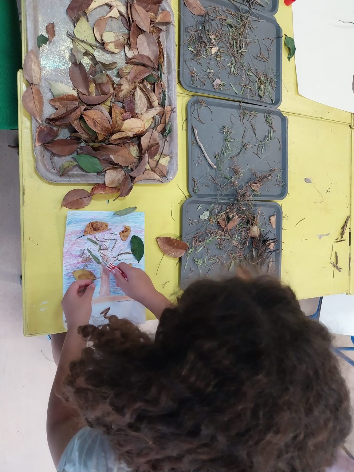 Preschool student creating an autumn tree art project using leaves and twigs