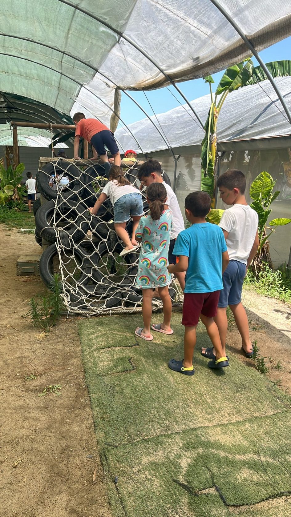 Preschool children playing on a tire climbing structure