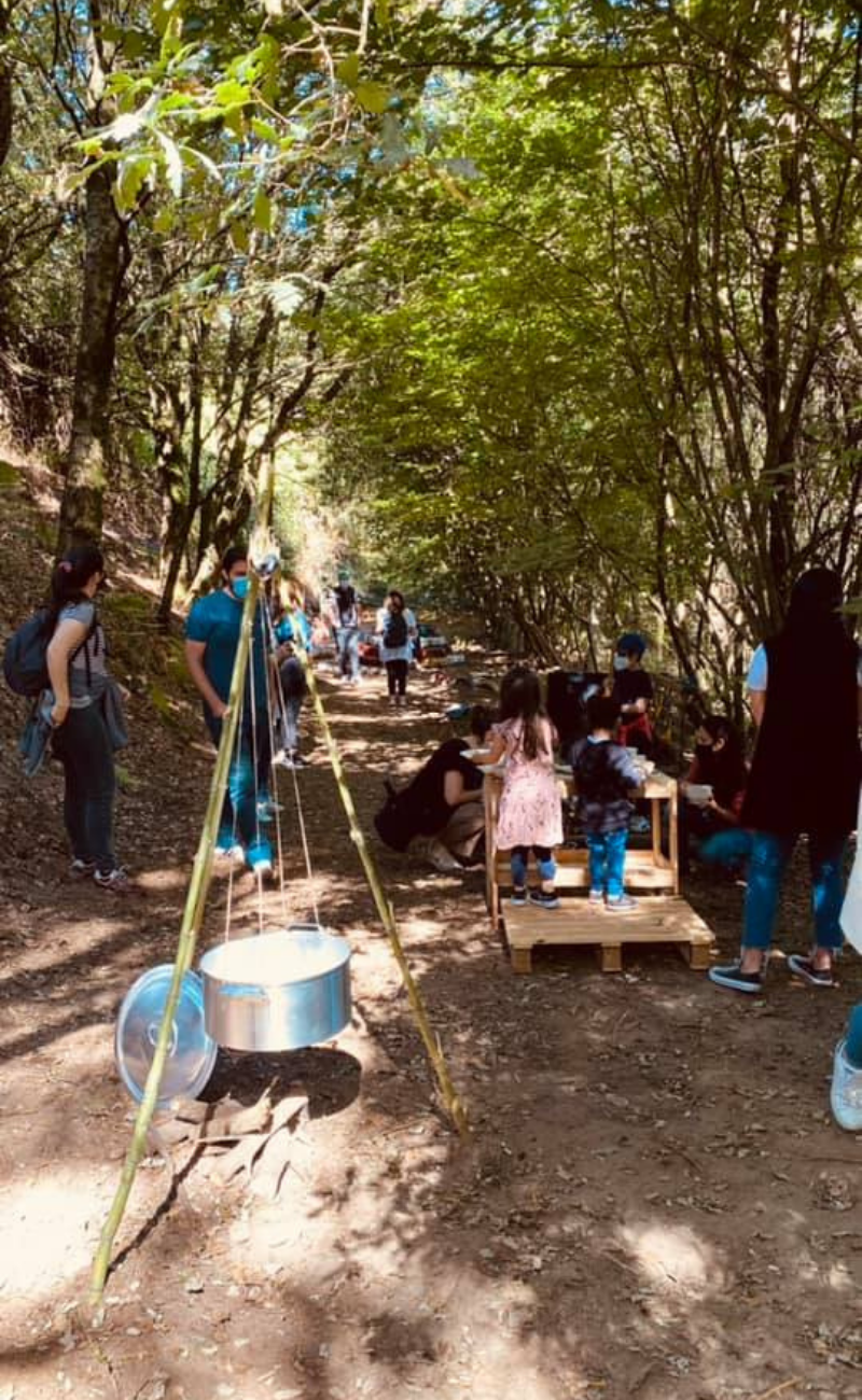 Preschool children and teachers enjoying an outdoor cooking activity in a wooded area.