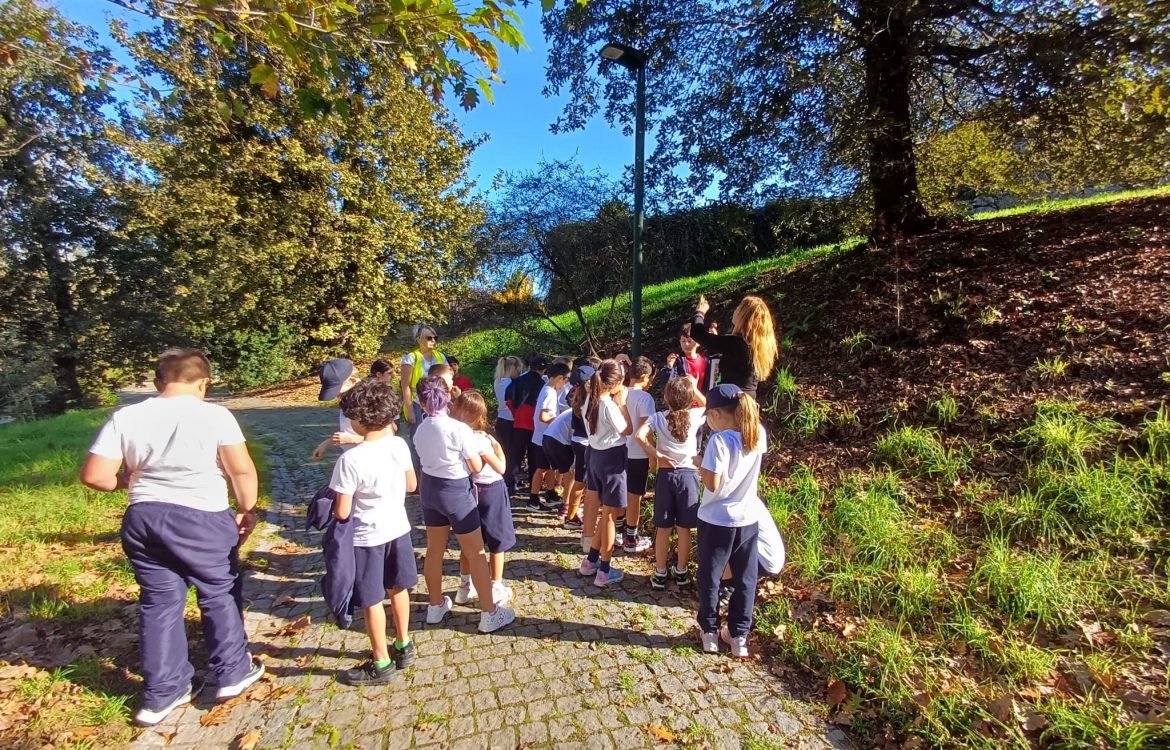 Preschool students on a field trip, enjoying nature and learning outdoors