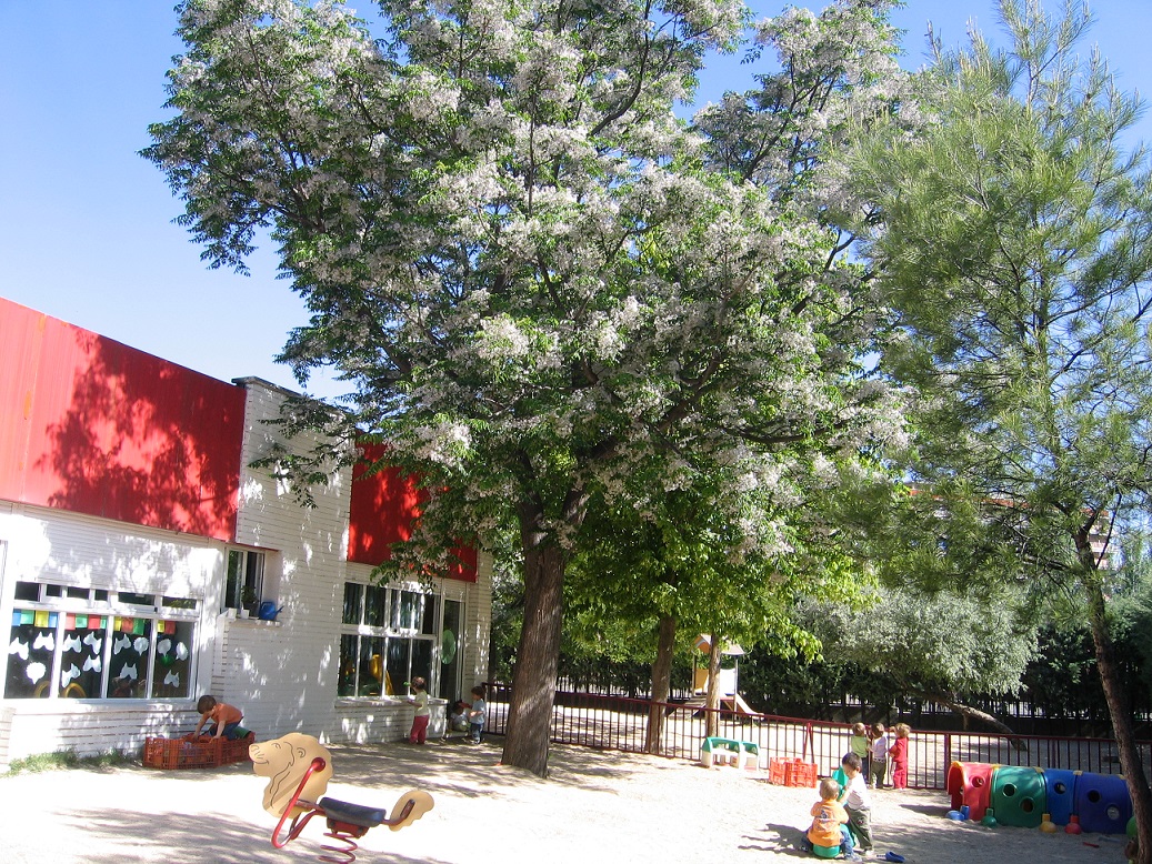 Escuela infantil Parque Coimbra