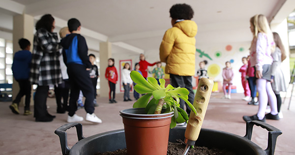 Preschool children participating in a gardening activity