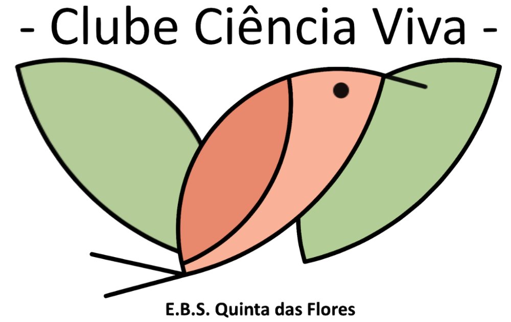 Jardim de Infância Quinta das Flores