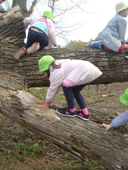 Preschool children playing on a large log outdoors