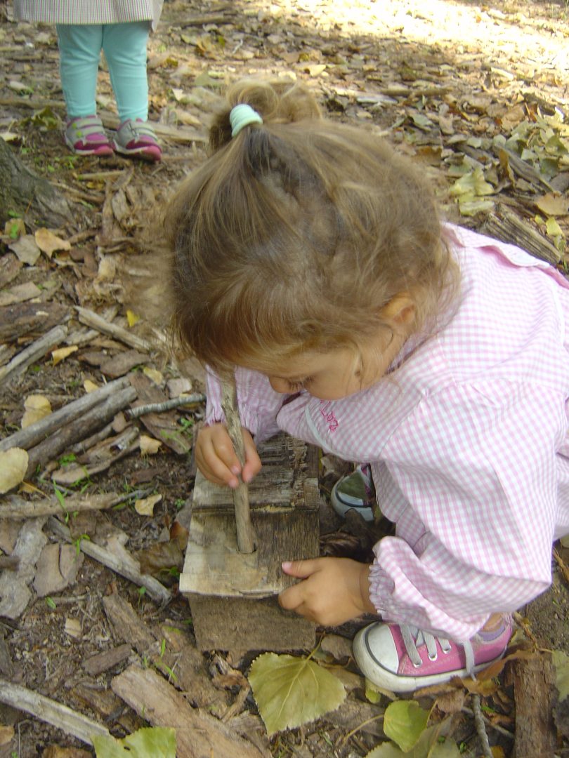 Preschool child engaging in outdoor learning activity using natural materials