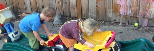 Wild Lilac Child Development Community