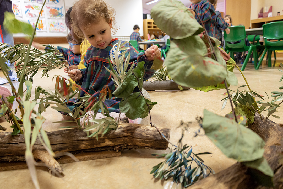 Preschool child engaging in a nature-based activity, surrounded by branches and leaves.